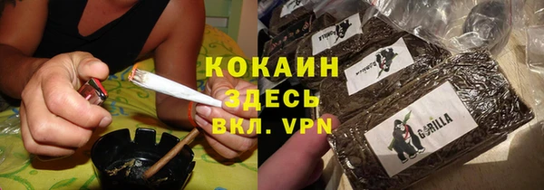 spice Абаза