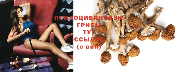 шишки Абдулино