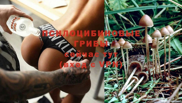 spice Абаза