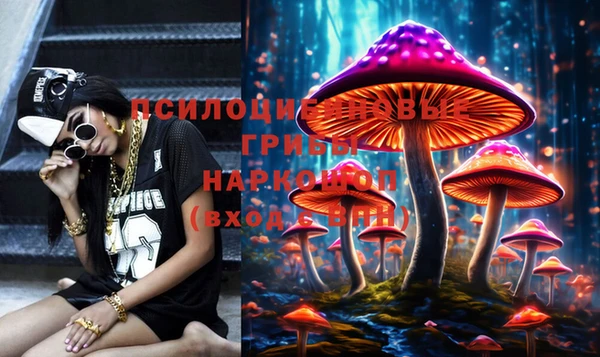 spice Абаза